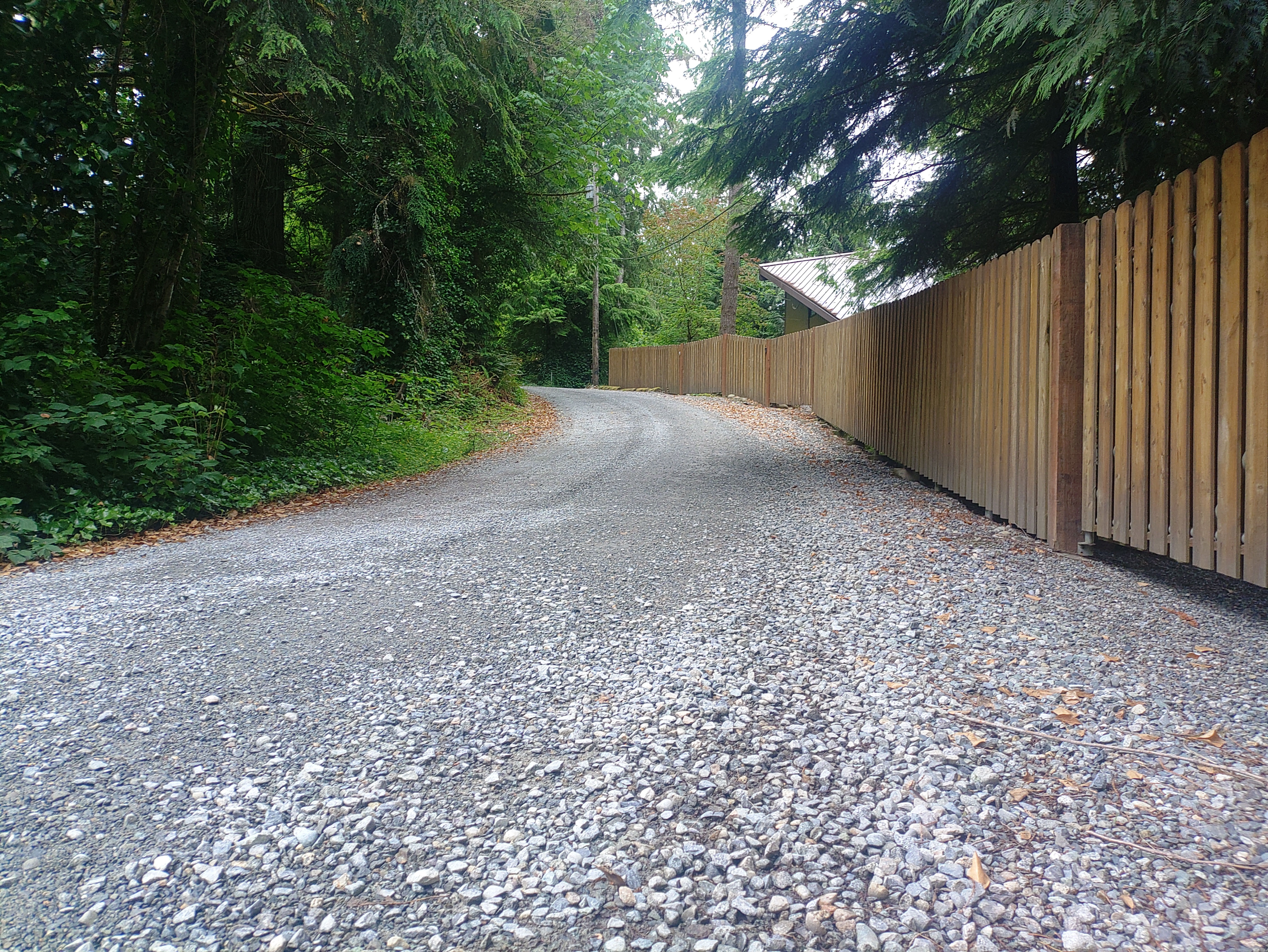 A clean, paved road through a wooded area with green grass and trees.