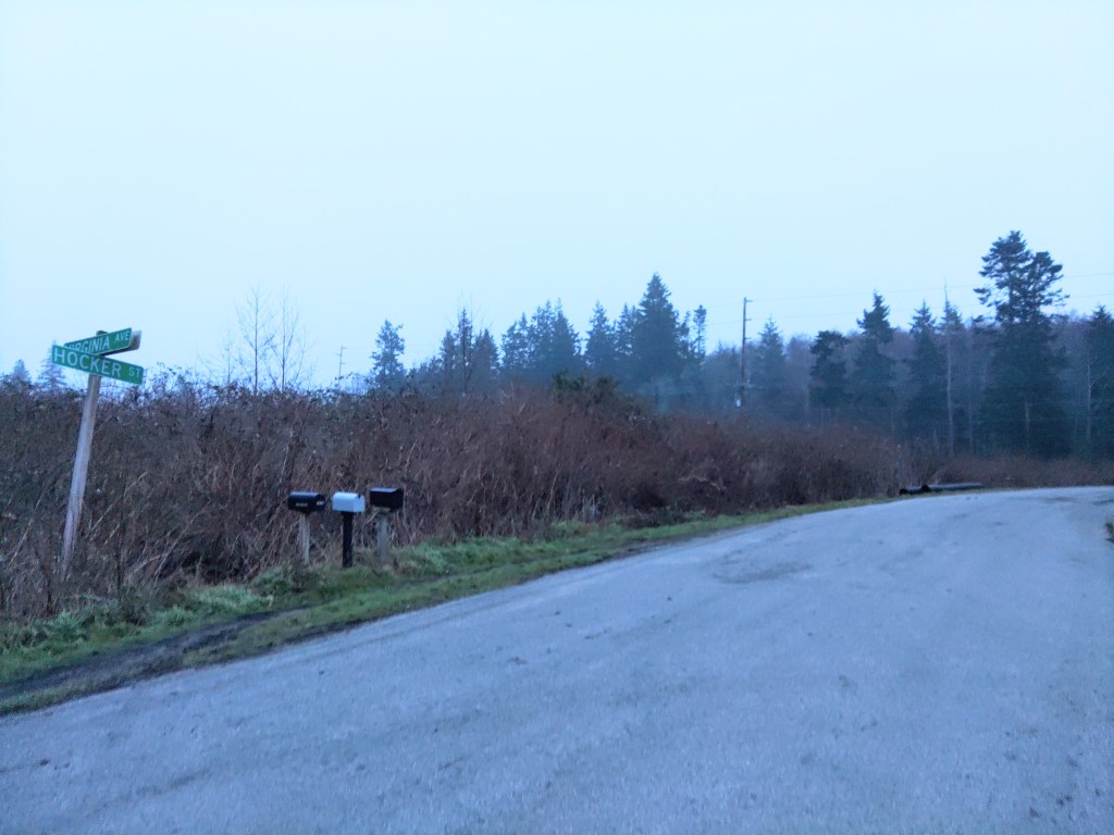 An illustration of a man operating an excavator, cutting a trench in his yard in front of a suburban home.