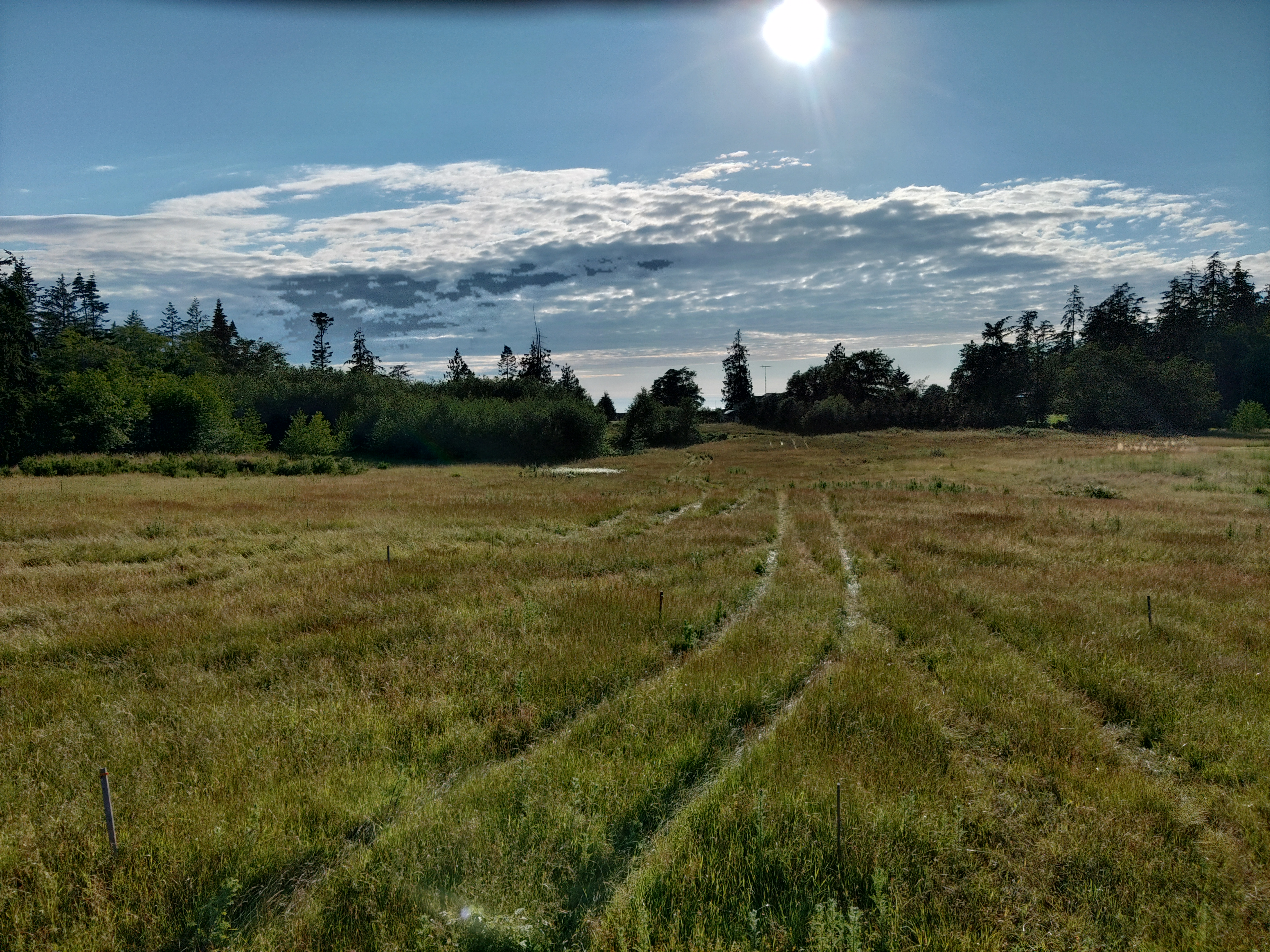 Large pipe in ground on a construction site.